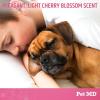 imagePet MD Body Spray for Dogs ampamp Cats Deodorizing Dog Perfume Eliminates Odor LongLasting Pet Cologne Spray for Dogs Sweet Pea ampamp Vanilla ScentJapanese Cherry Blossom