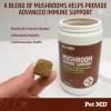 imagePet MD Mushroom Immune Support for Dogs ampamp Cats  Turkey Tail Mushroom Immune Support Supplement  Milk Thistle with CoQ10 for Dogs ampamp Cats  Immunity Supplement for Pets  120 Chews